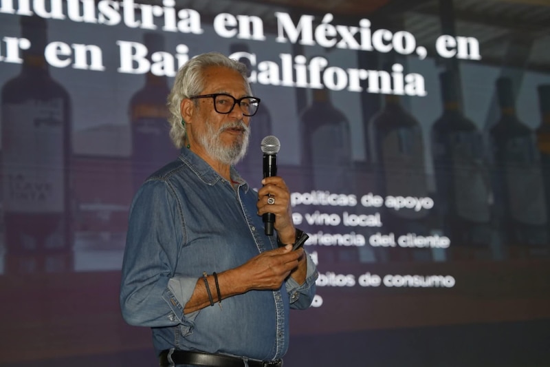 Víctor Manuel Torres, enólogo de vitivinícola Torres Alegre señaló que la carga de impuestos a vinos nacionales los deja fuera de competencia frente a productos que se importan
