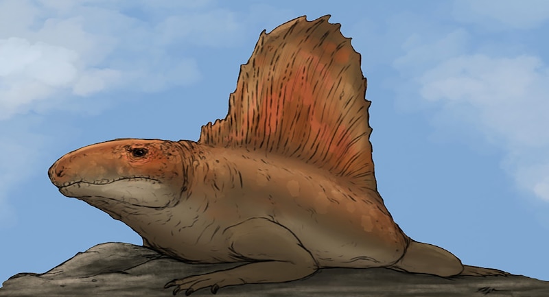 Un reptil prehistórico