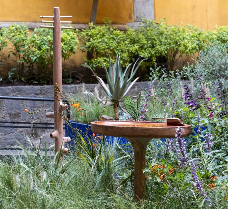Jardín con plantas suculentas y flores de colores