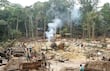 ONU alerta sobre esclavitud moderna vinculada a la deforestación en Brasil