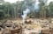 ONU alerta sobre esclavitud moderna vinculada a la deforestación en Brasil