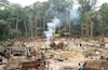 ONU alerta sobre esclavitud moderna vinculada a la deforestación en Brasil
