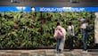 Metro instala muros verdes en ocho estaciones de la Línea 2 y aclara el costo de su instalación