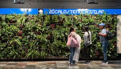 Metro instala muros verdes en ocho estaciones de la Línea 2 y aclara el costo de su instalación