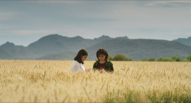 Dos mujeres jóvenes en un campo de trigo