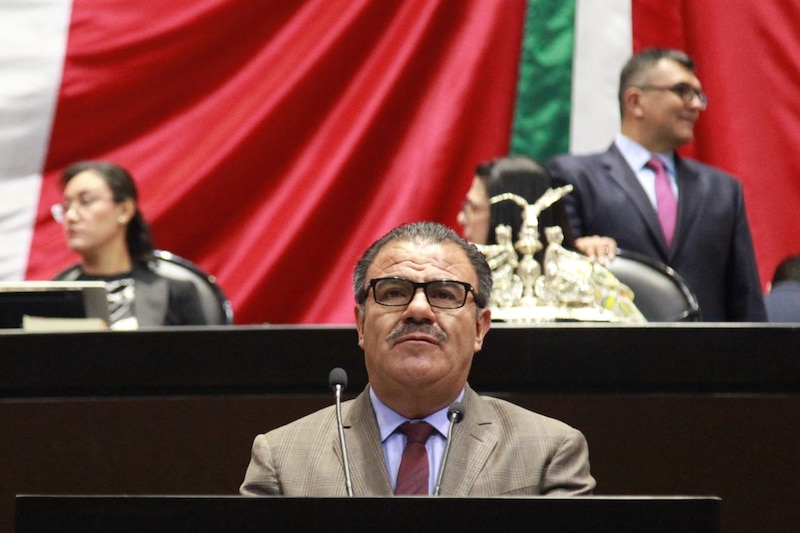 Diputado mexicano durante una sesión en el Congreso