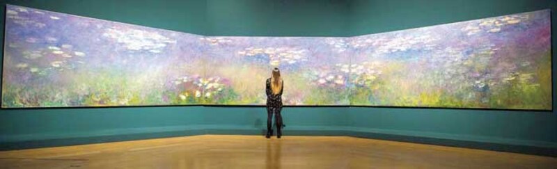 Mujer mirando un cuadro de Monet