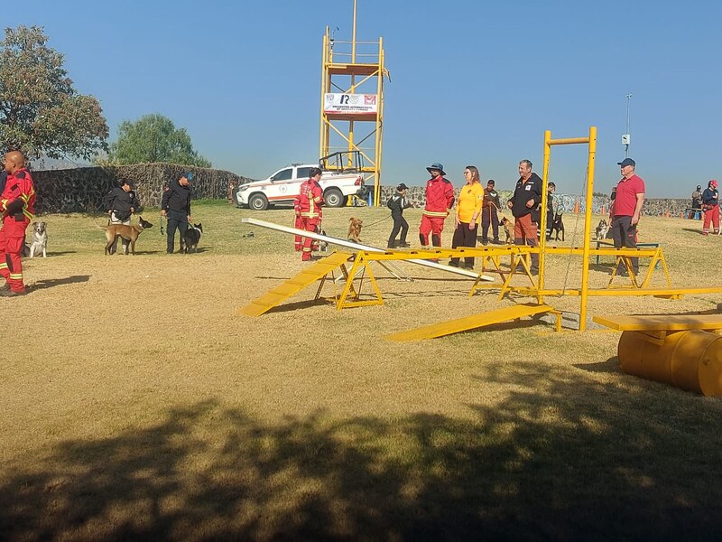 Perros de rescate en entrenamiento