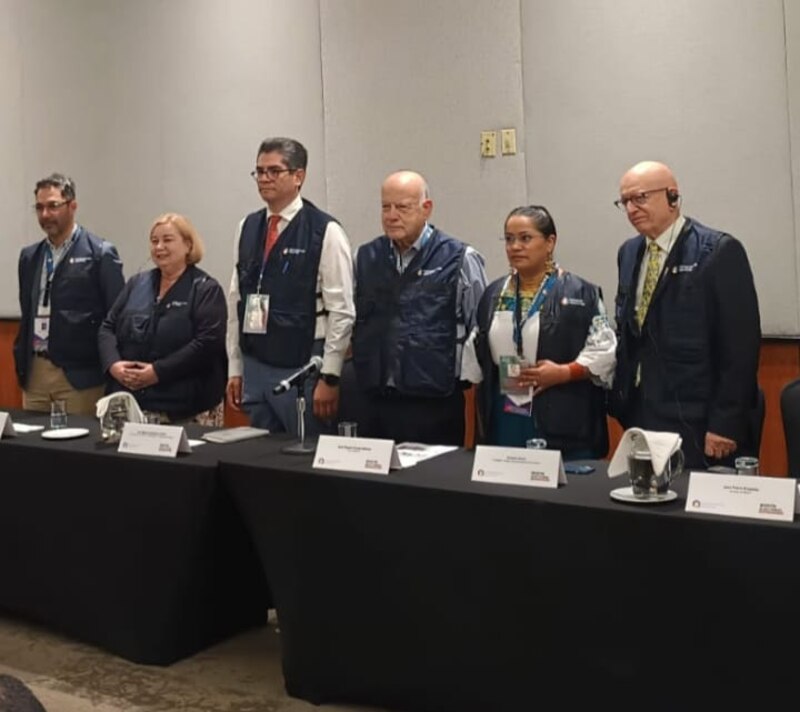 Mesa redonda sobre la salud de la mujer indígena