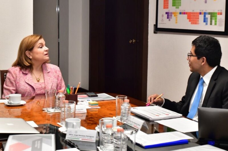 Reunión de trabajo entre la Ministra de Educación y el Presidente de la Comisión de Educación del Congreso de los Diputados