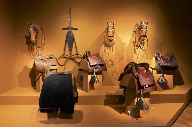 Sillas de montar y otros arreos para caballos