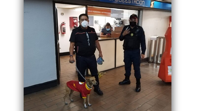 Un perro con uniforme de superhéroe acompaña a su dueño en una estación de metro