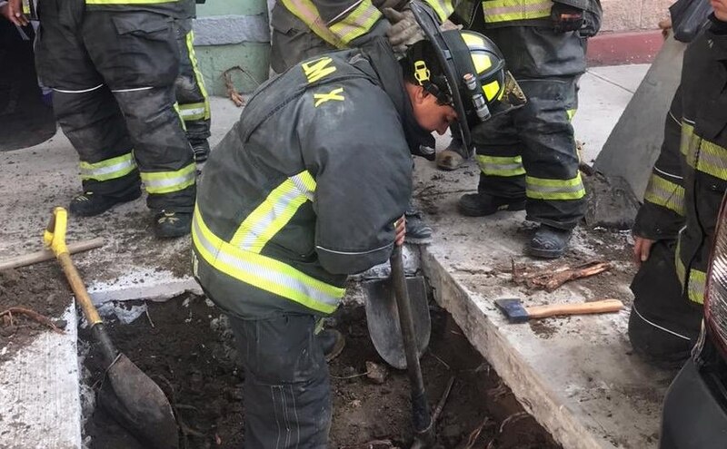 Bomberos trabajando en un incendio