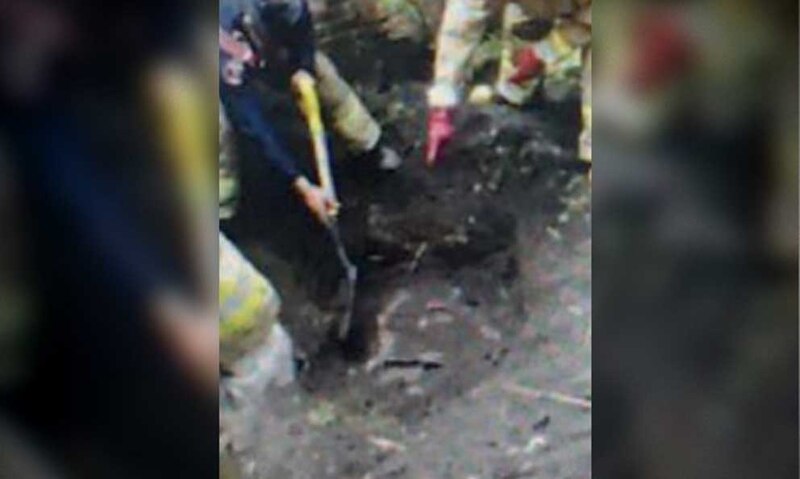 Rescate de un perro atrapado en una alcantarilla