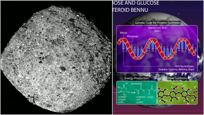 Pistas del origen de la vida en el Asteroide Bennu, NASA, Científicos creen que estas piezas podrían ayudar a entender cómo comenzó la vida en la Tierra.