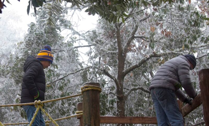 Niños jugando en un parque cubierto de nieve