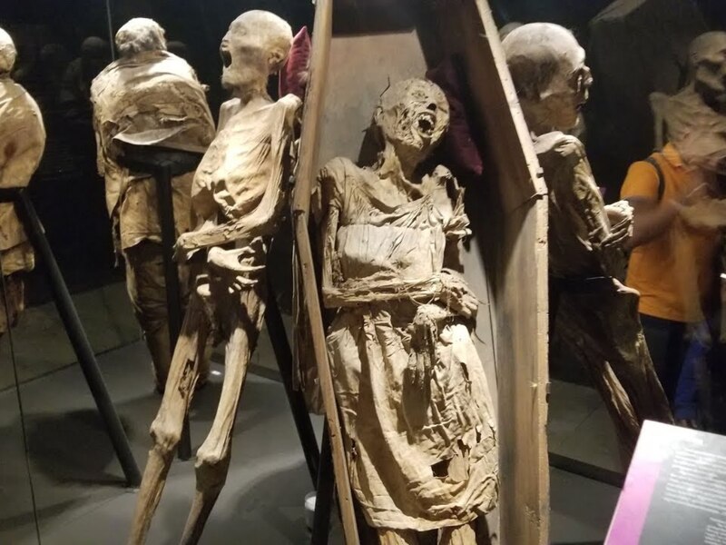 Momias egipcias en exposición en el Museo de El Cairo