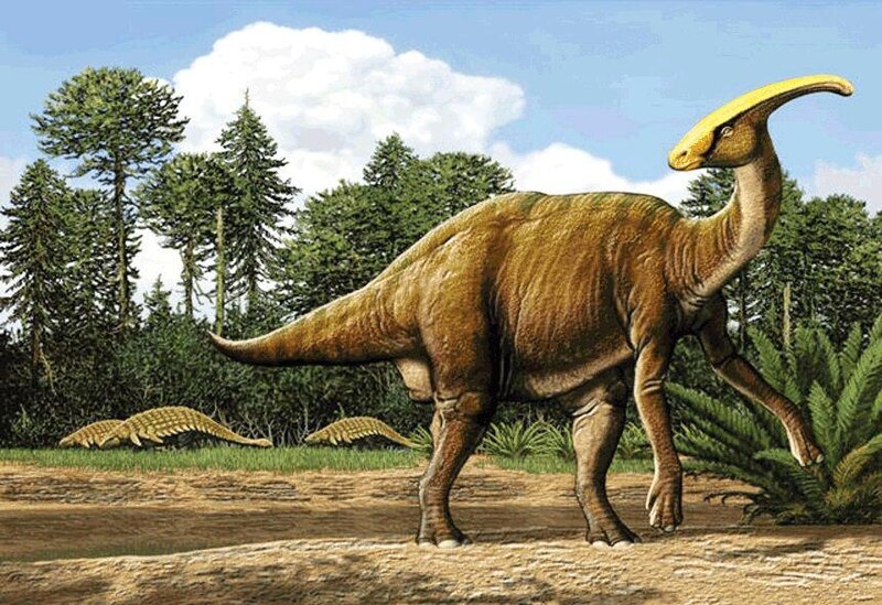 El dinosaurio Parasaurolophus