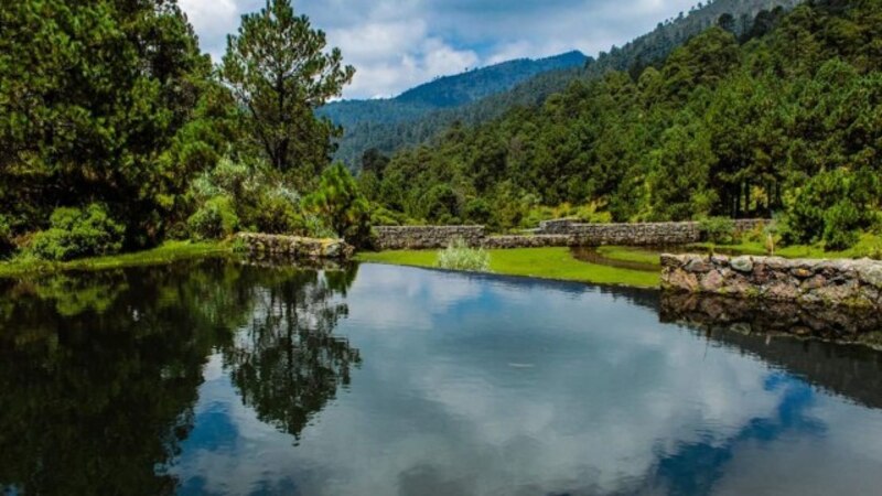 Laguna en el bosque