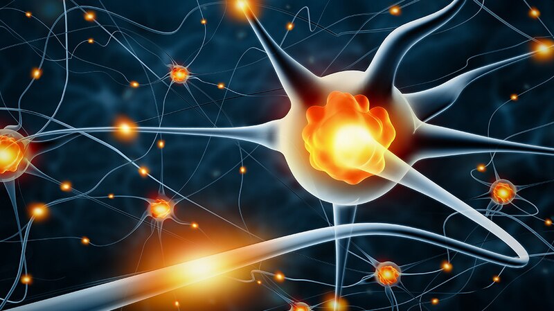 Neuronas