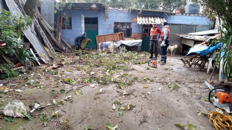 Limpiar escombros después de un huracán