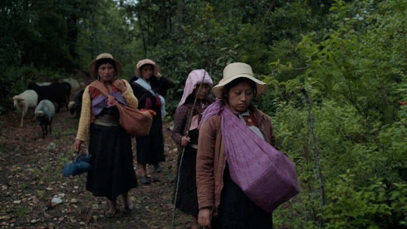 Mujeres indígenas caminando por un bosque