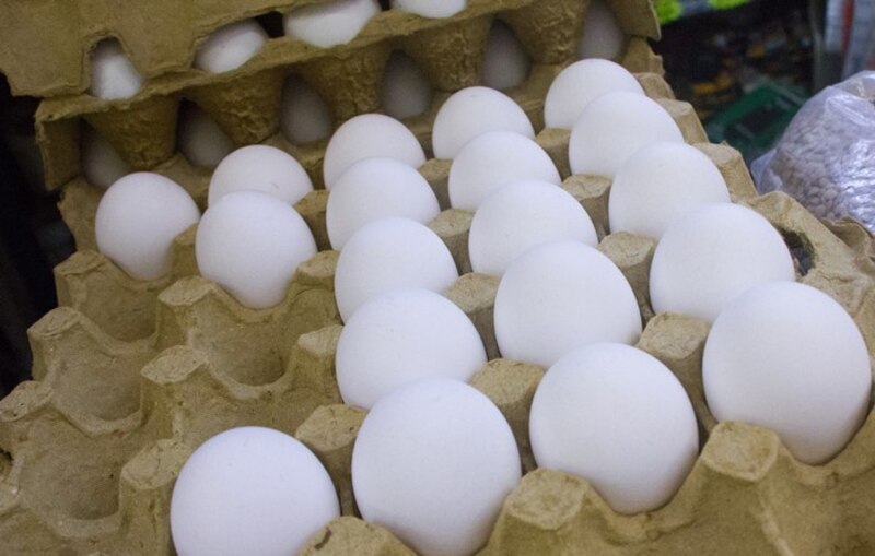Huevos blancos en una caja de cartón