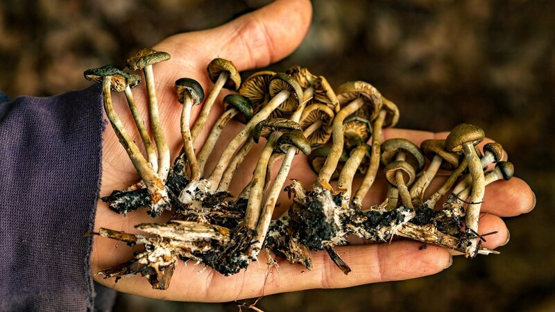 Setas mágicas en la palma de la mano