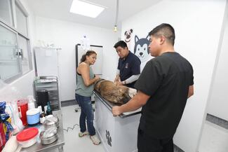 Evelyn Parra lanza campaña de adopción responsable de animales decompañía