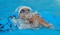México brilla en Asunción 2025 con récord en natación y oro en ciclismo