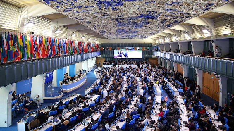 Delegados en la sesión de clausura de la COP16 discutiendo acuerdos sobre biodiversidad