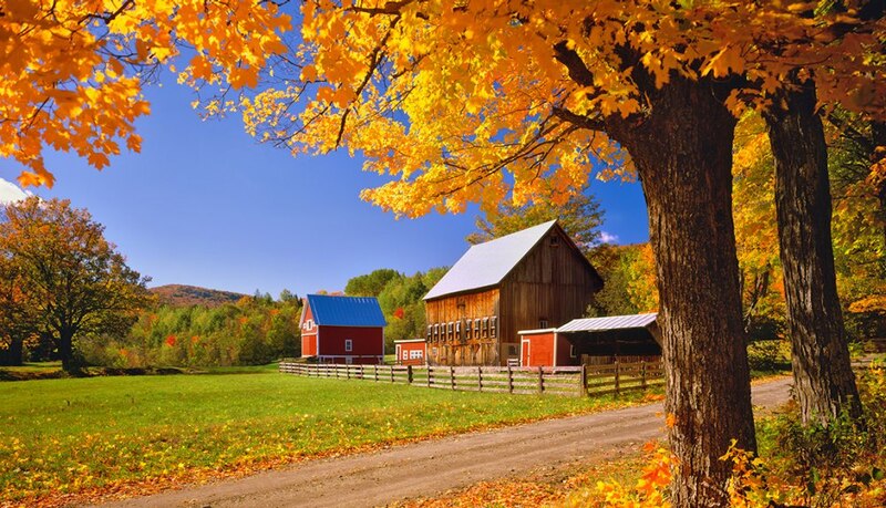 Granja en otoño