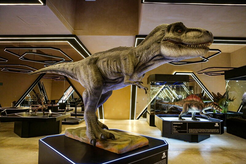 ¡Cuidado! Un dinosaurio suelto en el museo