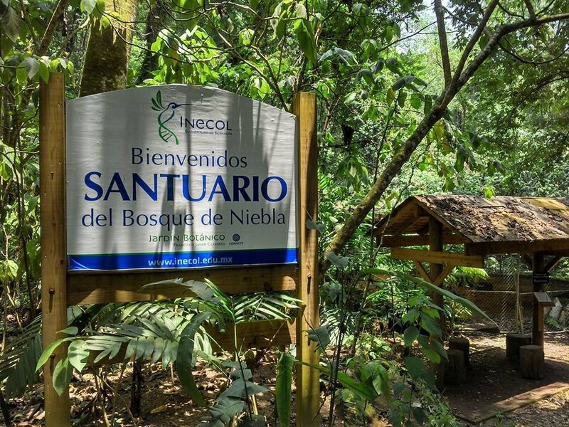 Santuario del Bosque de Niebla