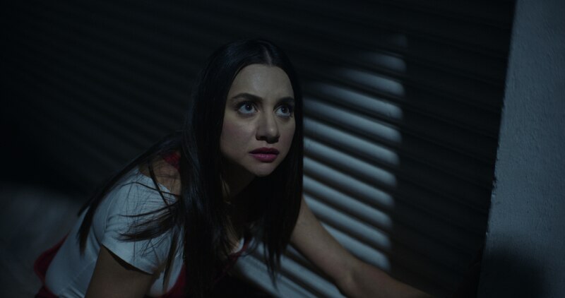La mujer en la ventana