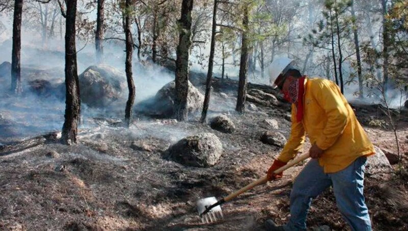 Bombero forestal trabajando en la extinción de un incendio