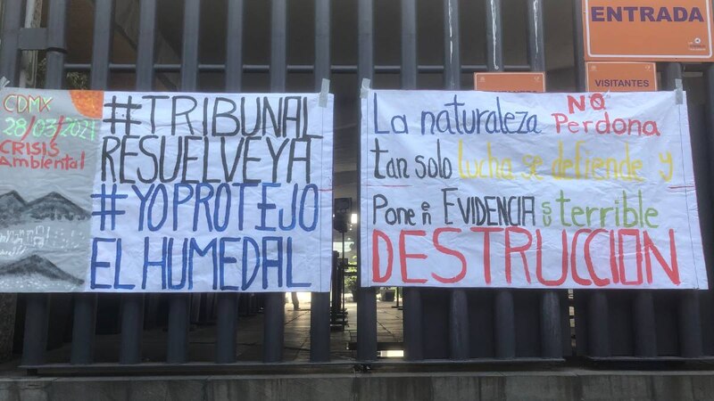 Protesta en el tribunal por la destrucción del humedal