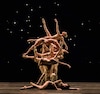 UNAM invita a disfrutar del Ballet to Broadway