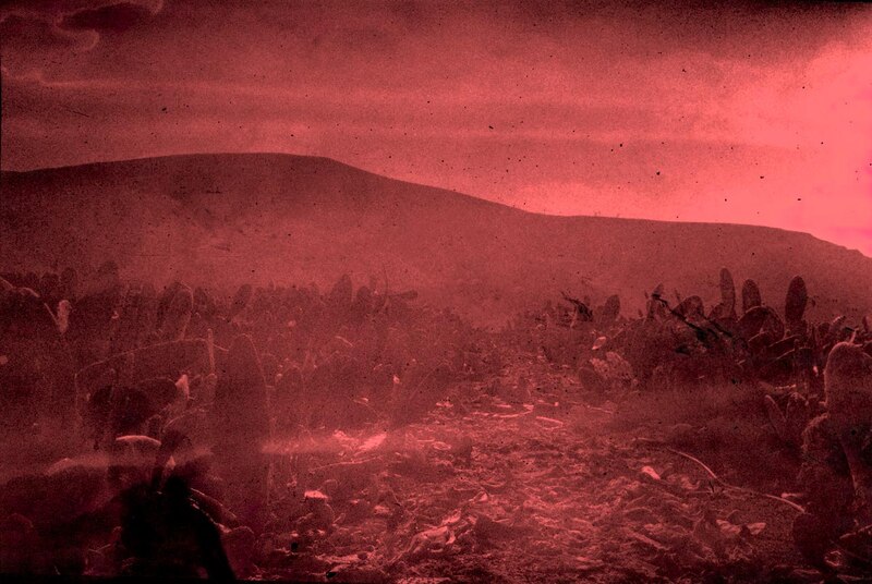 Soldados en el desierto