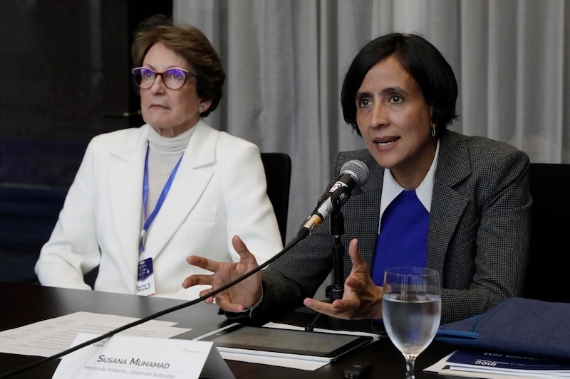 La ministra de Medio Ambiente, Susana Muhamad, habla en un foro sobre cambio climático.