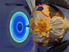 “El diseño de la libélula”: una experiencia sensorial que conecta arte, ciencia y espiritualidad