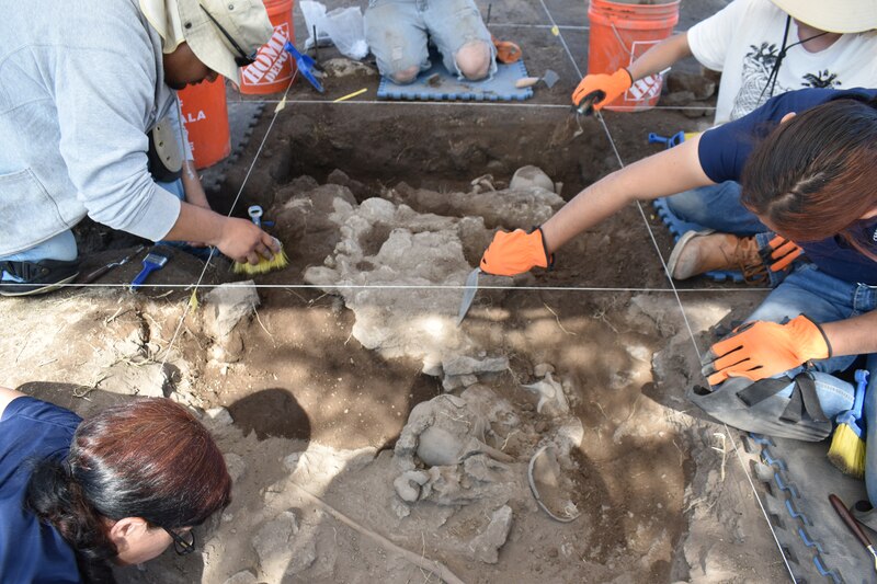 Un equipo de arqueólogos trabaja en un yacimiento