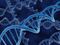 Crean atlas con más 92 millones de elementos del ADN que controlan los genes humanos