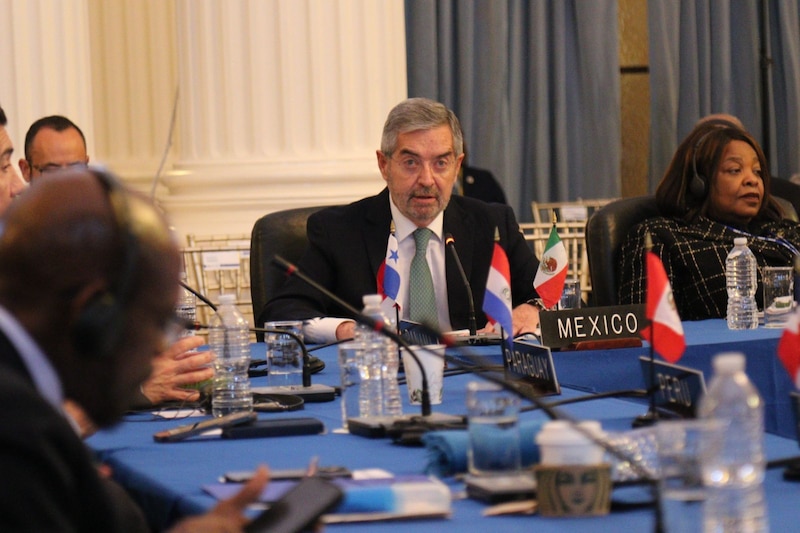 Juan Ramón de la Fuente durante su intervención en la sesión de la OEA, resaltando la necesidad de cooperación y respeto mutuo entre los países miembros.