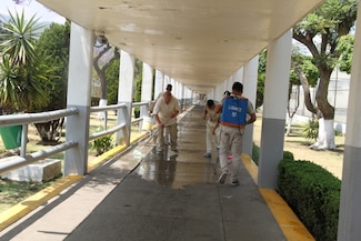 Ante la falta de mantenimiento en centros penitenciarios, diputada del PVEM solicita informe