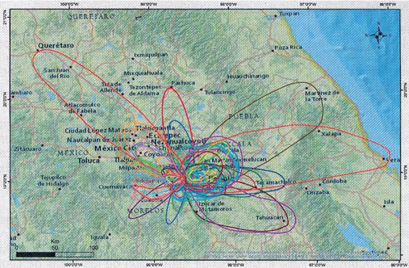 Mapa de la República Mexicana con las principales ciudades y carreteras