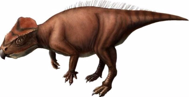 El dinosaurio con cuernos