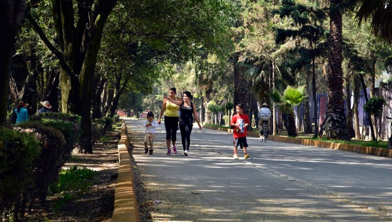 Familia paseando por un parque