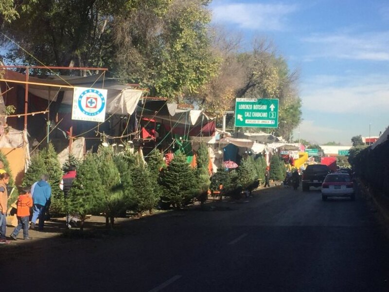 Venta de árboles de Navidad en la Ciudad de México