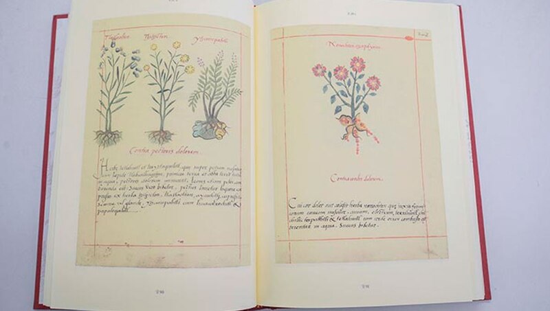 Codex Vindobonensis 52 Dioscurides